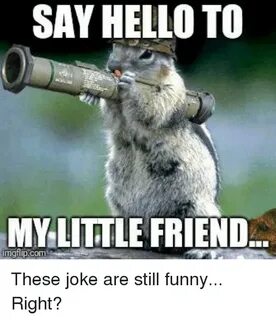 SAY HELLO TO MYLITTLE FRIEND Funny Meme on ME.ME