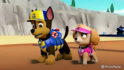 Skye and Chase - Skye and Chase - PAW Patrol پرستار Art (411