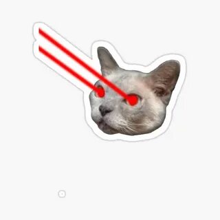 "Laser Eyes Cat" Sticker by ArseneLapin Redbubble