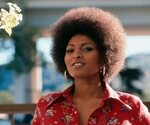 Pam Grier Net Worth 2021 Wiki Bio Age Height Married Family 