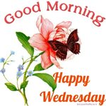 Good Morning Happy Wednesday Butterfly Gif Good morning wedn