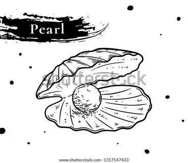 Sea Shell With Pearl Drawing / Find the perfect pearl in she