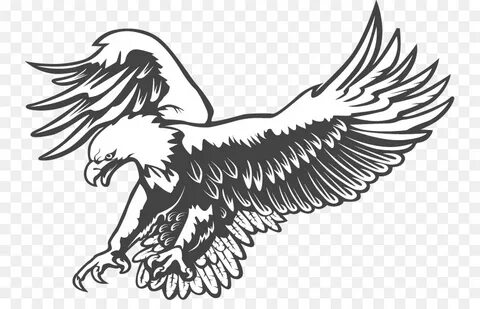 Eagle Line Art Vector at Vectorified.com Collection of Eagle