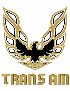 1978 trans am decal ... 1978 Trans Am. The text logo is the 