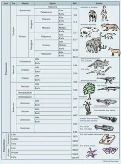 Gallery of the eras of the geologic time scale reading and w