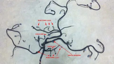 Ls1 Wiring Harness Diagram Database