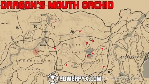 Gallery Of Locations Red Dead Redemption 2 Wiki Rdr2 Org - R