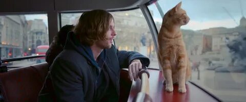 Watch A Street Cat Named Bob HD Online on WatchSeries