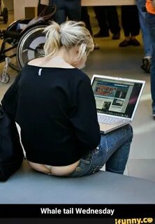 Whaletail memes. Best Collection of funny Whaletail pictures on iFunny