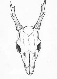 deer skull tattoo