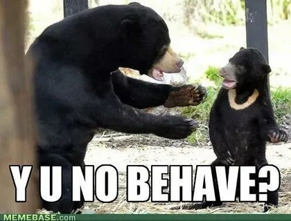 Behave young bear - Meme by Fer_9317 :) Memedroid