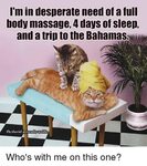 Funny massage Memes