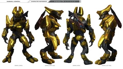 Halo: Sangheili / Characters - TV Tropes