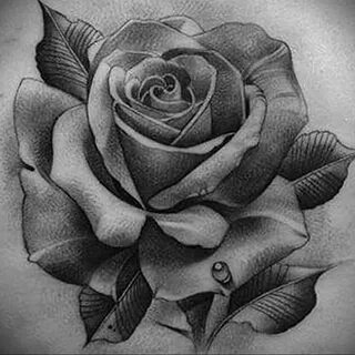 Татуировка роза эскиз (59 фото)