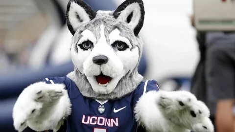 The Heights - "UConn Deserves To Be In ACC' - BC Interruptio