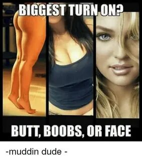 BIGGEST TURNONO BUTT BOOBS OR FACE -Muddin Dude - Meme on lo