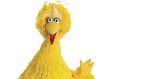 Watch Big Bird Rap About Summertime in This Hilarious Mashup