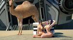 Camel towing porn gallery pics :: Halaburt.eu