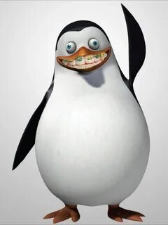 Penguin with braces © Adrn Penguins of madagascar, Penguins,