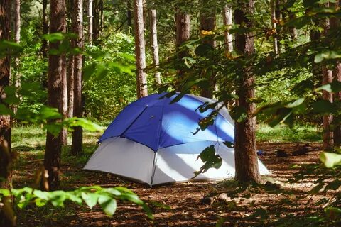 New York Best Camping Vacations - InsideHook