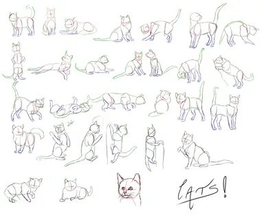 Cats Cats Cats by Golden-tetrise on deviantART Cat sketch, C