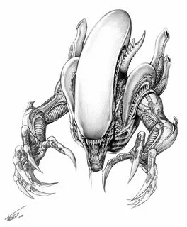 Alien creature Alien drawings, Predator alien art, Giger ali