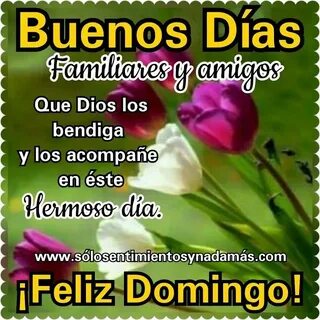 Buenos Dias Feliz Domingo Familia