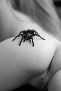 spider Artistic Nude Photo by photographer foxfire 555 at Mo