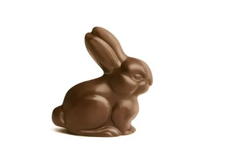 chocolate bunny, Easter, Scheiss Weekly - Scheiss Weekly