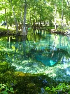 Florida-Turquoise Pool, Ginnie Springs, Florida I grew up sw