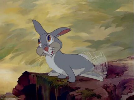 Life vs. Film: Top 10... Movie Rabbits