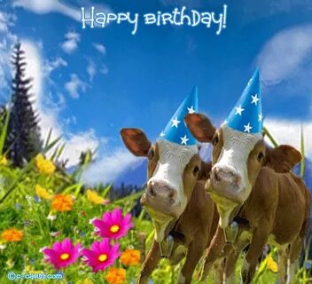 Yodelling Birthday Cows. Free For Best Friends eCards, Greet