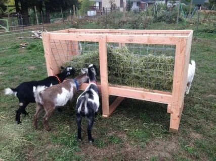 Homemade Goat Feeders For Sale Goat hay feeder, Sheep feeder