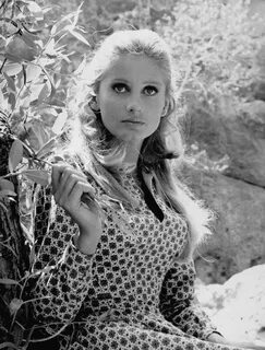 Cream в Твиттере: "Jill Ireland in the 60's.