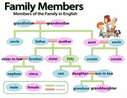 Family members Woodward english, English vocabulary, Learn e