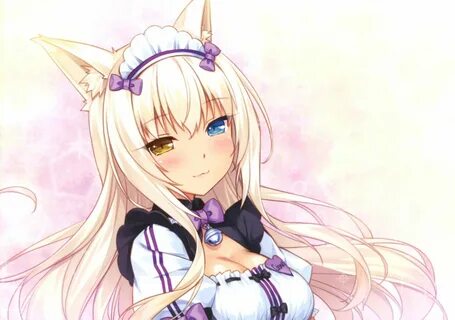 Bell bicolored eyes blonde hair breasts catgirl cat smile cl