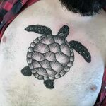 100 Turtle Tattoos For Men - Hard Shell Design Ideas