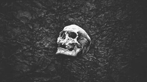 Wallpaper Human Skull Wallpaper, Black, White, Abstract * Wa