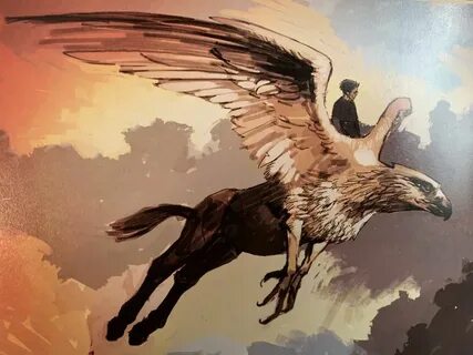 Harry Buckbeak concept art Animales fantasticos, Dibujos, Di