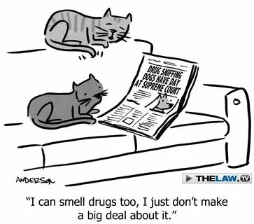 Court Toons: Supreme Sniffs http://news.thelaw.tv/2012/11/01