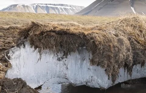 La pérdida del 'permafrost' y la absorción terrestre de la r