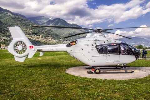 escribir una carta traidor Compra airbus ec135 Cerebro cuero