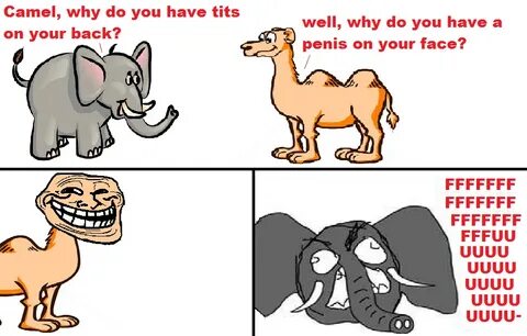 Elephant And Camel Joke - Jokes Wall