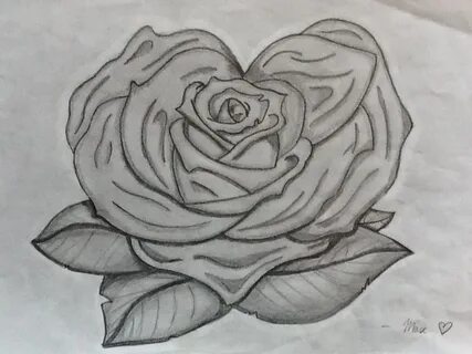 Drawing Pictures Of Roses And Hearts at PaintingValley.com E