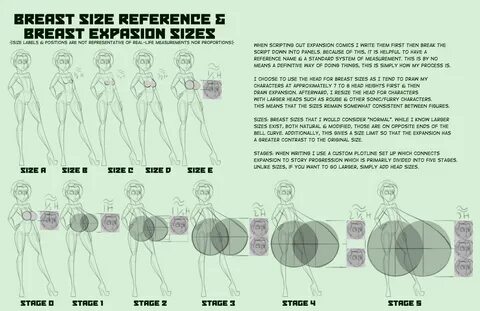 Breast Size Reference & Breast Expansion Sizes. 