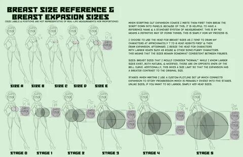 Breast Size Reference & Breast Expansion Sizes by 7-Light-Of-Shadows-7 -- Fur Af