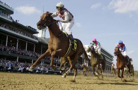 Kentucky Derby Funny Quotes. QuotesGram