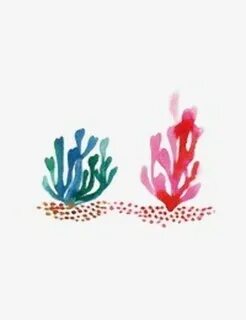 Download High Quality seaweed clipart colorful Transparent P