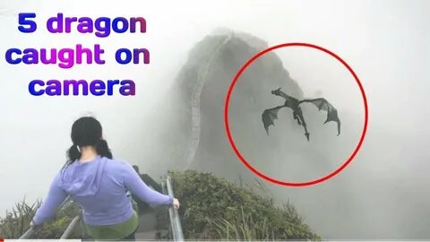Top 5 dragon caught in camera. You can't never believe if it