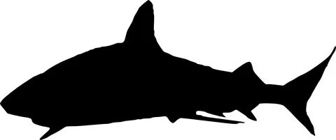 6 Shark Silhouette - Shark Silhouette Png - (1125x472) Png C
